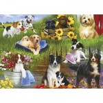 Puzzle  Gibsons-G2254 Pièces XXL - Chiens