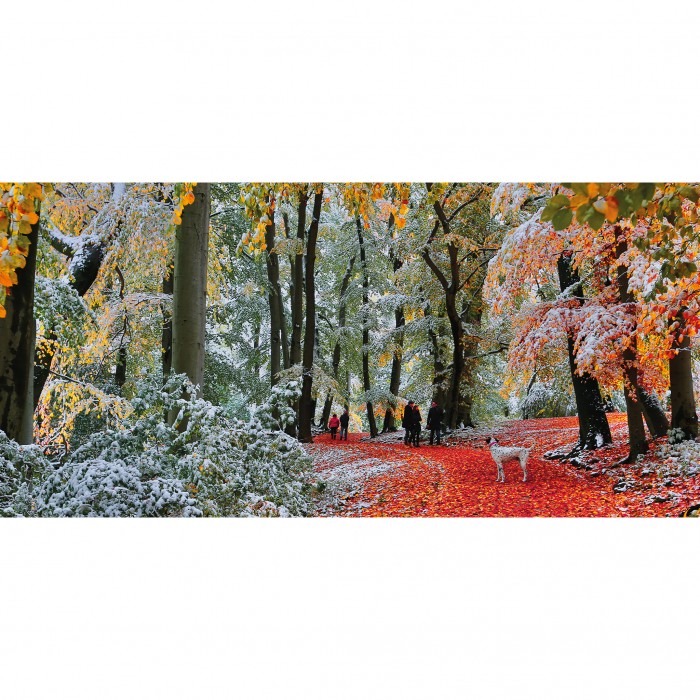 Puzzle  Gibsons-G4057 Neige En Automne