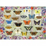 Puzzle   Jolis Papillions