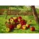 Karl Vikas : La Récolte de Pommes