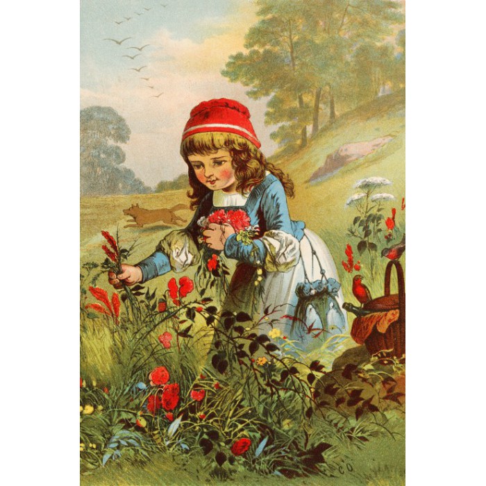 Puzzle  Grafika-F-30863 Le Petit Chaperon Rouge, illustration par Carl Offterdinger