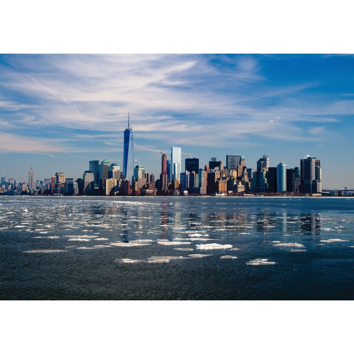 Puzzle  Grafika-F-30946 New York Skyline by Day