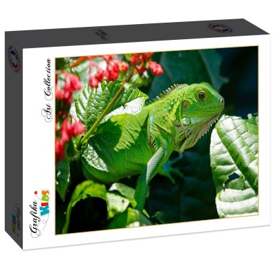 Puzzle Grafika-F-30949 Iguane