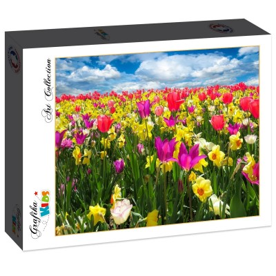 Puzzle Grafika-F-30985 Tulipes