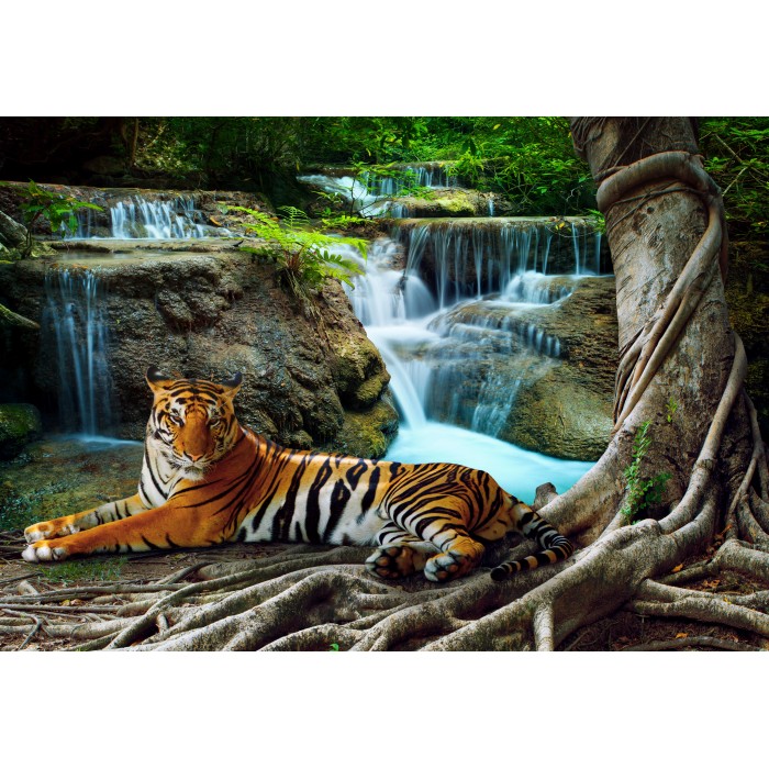 Puzzle  Grafika-F-31070 Tigre et Cascade