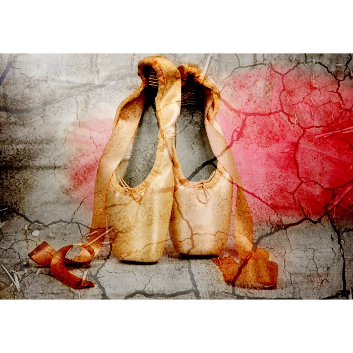 Puzzle  Grafika-F-31107 Vintage Ballet Shoes