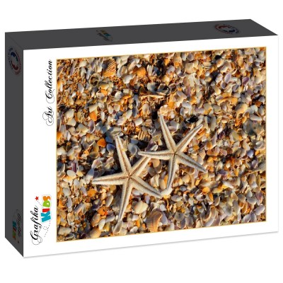 Puzzle Grafika-F-31126 Coquillages et Etoiles de Mer