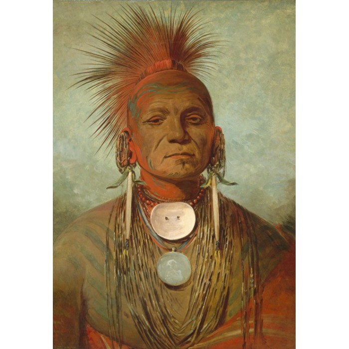 Puzzle  Grafika-F-31305 George Catlin : See-non-ty-a, Homme Medecine de l'Iowa Medicine Man, 1844-1845