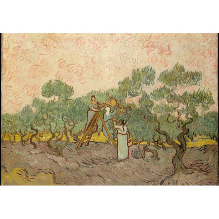 Puzzle  Grafika-F-31637 Van Gogh Vincent : Femmes ramassant des Olives, 1889