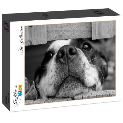 Puzzle Grafika-F-31887 Chien