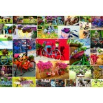 Puzzle  Grafika-F-31956 Collage - Vélos