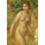 Puzzle   Auguste Renoir : Nu, 1895