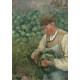 Camille Pissarro : Le Jardinier - Vieux Paysan avec Chou, 1883-1895
