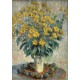 Claude Monet - Jérusalem Fleurs d'artichaut, 1880