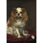 Puzzle   Edouard Manet : Un Cavalier King Charles Spaniel, 1866