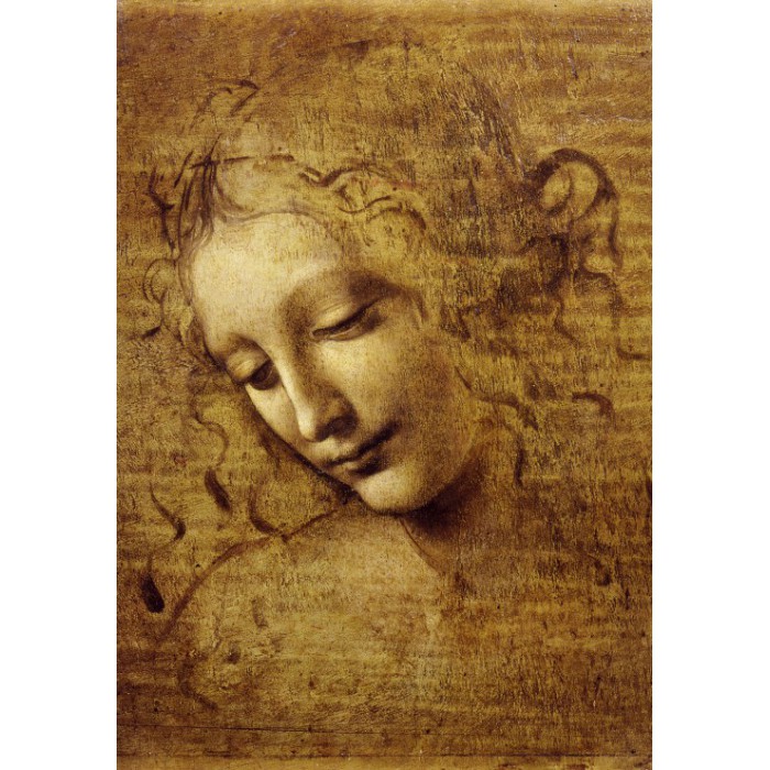 Puzzle   Léonard de Vinci : Visage de Giovane Fanciulla, 1508