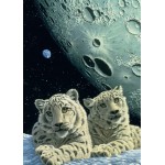 Puzzle   Pièces magnétiques - Schim Schimmel - Lair of the Snow Leopard
