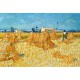 Vincent Van Gogh : Moissons en Provence, 1888