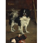 Puzzle  Grafika-01747 Edouard Manet : Tama : Le Chien Japonais, 1875
