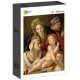 Agnolo Bronzino : La Sainte Famille, 1527/1528