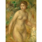 Puzzle   Auguste Renoir : Nu, 1895