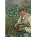 Puzzle   Camille Pissarro : Le Jardinier - Vieux Paysan avec Chou, 1883-1895