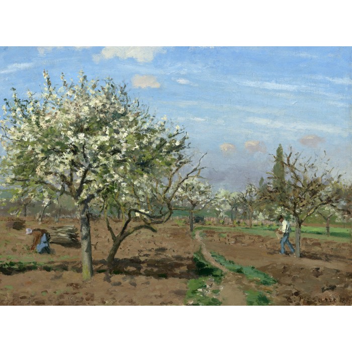 Puzzle   Camille Pissarro : Verger en Fleurs, Louveciennes, 1872