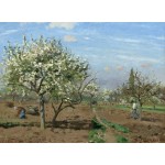 Puzzle   Camille Pissarro : Verger en Fleurs, Louveciennes, 1872