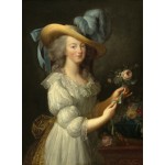 Puzzle   Elisabeth Vigée-Lebrun : Marie-Antoinette, 1783