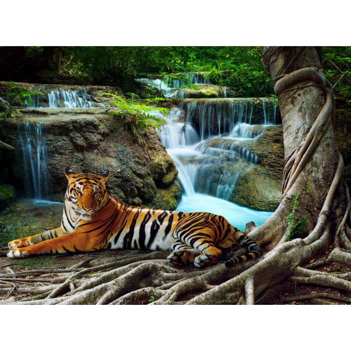 Puzzle  Grafika-F-30427 Tigre et Cascade