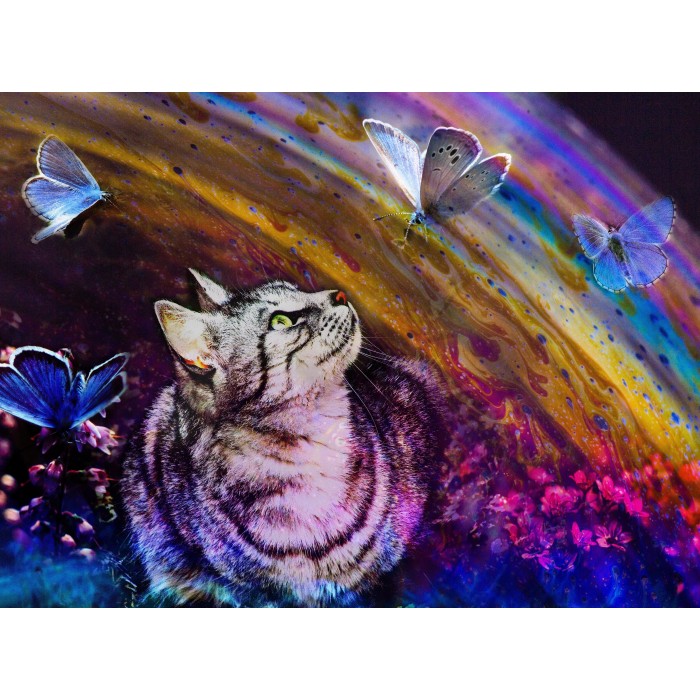 Le Chat et les Papillons