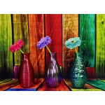 Puzzle  Grafika-F-30795 Vases Fleuris et Colorés