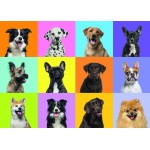 Puzzle  Grafika-F-32733 Collage de Chiens