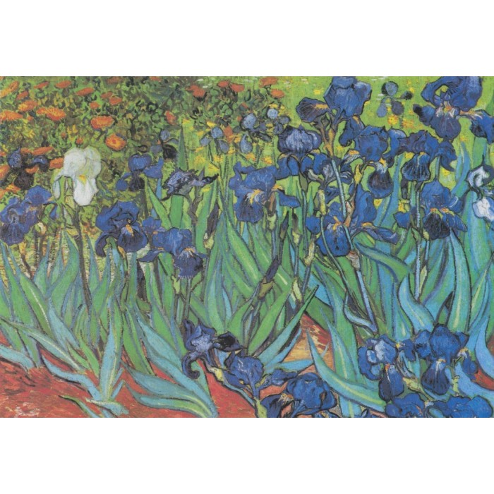 Puzzle  Grafika-F-32751 Vincent Van Gogh - Saint-Remy - Les Iris, 1889