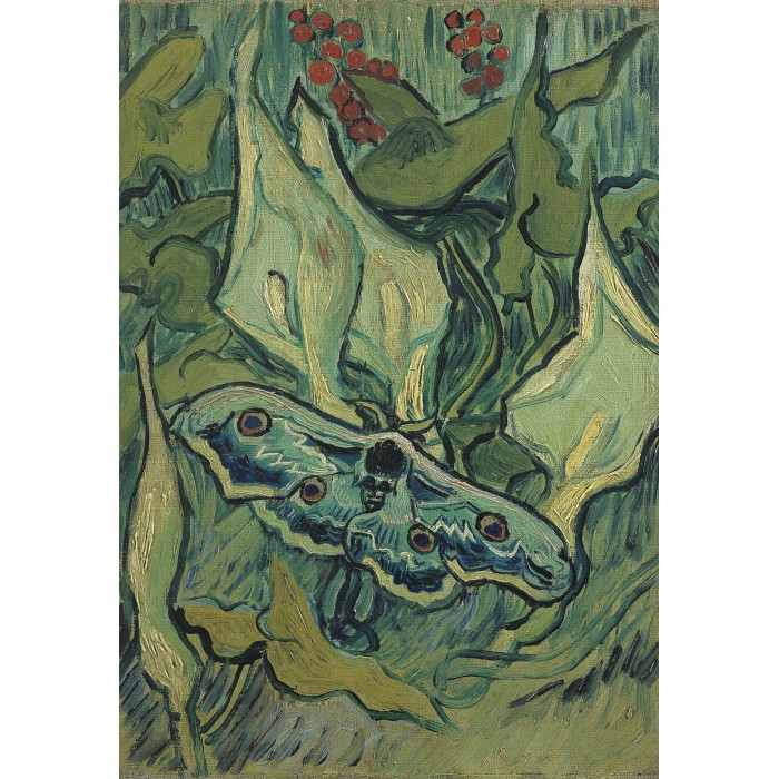 Van Gogh - Giant Peacock Moth, 1889