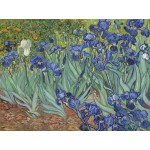 Puzzle  Grafika-F-33320 Van Gogh Vincent : Les Iris, 1889