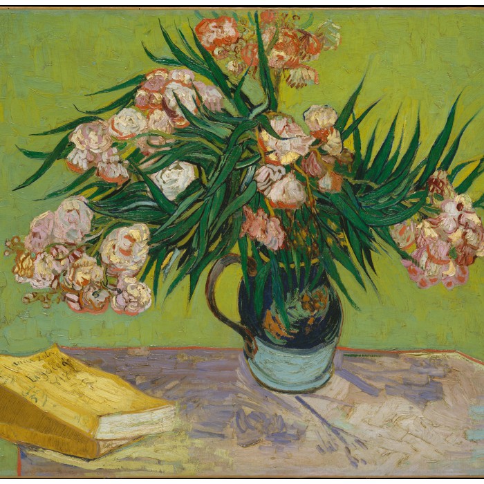 Puzzle  Grafika-F-33356 Vincent Van Gogh - Lauriers Roses,1888