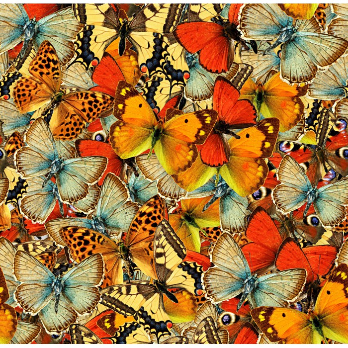 Puzzle  Grafika-F-33458 Nuée de Papillons