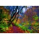 Forêt d'Automne Stylisée