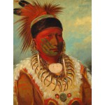 Puzzle   George Catlin : The White Cloud, Head Chief of the Iowas, 1844-1845