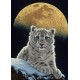 Schim Schimmel - Moon Leopard