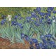 Van Gogh Vincent : Les Iris, 1889