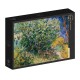 Van Gogh Vincent - Lilas, 1889