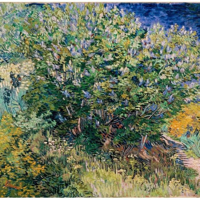 Puzzle   Vincent Van Gogh - Lilas, 1889