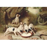 Puzzle   Walter Hunt : Puppies' Breakfast, 1885