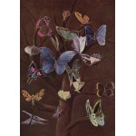 Puzzle   Wilhelm von Kaulbach : Schmetterlinge, 1860