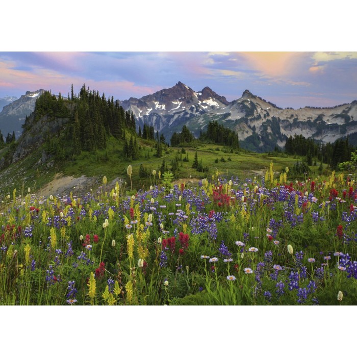 Puzzle  Heye-29903 Tatoosh Mountains