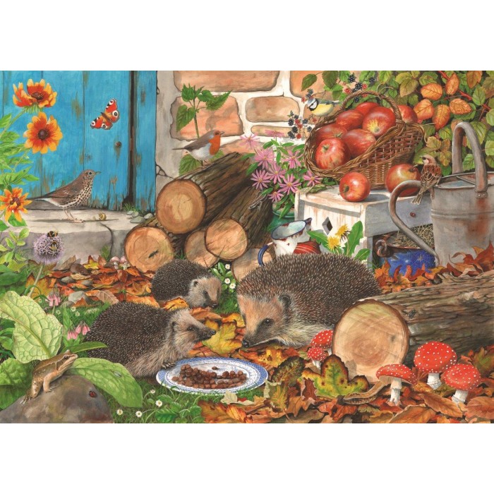 Puzzle  House-Of-Puzzles-HP0330 Aides De Jardin