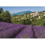 Puzzle   Provence