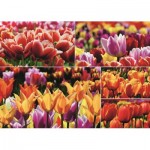 Puzzle   Tulipes